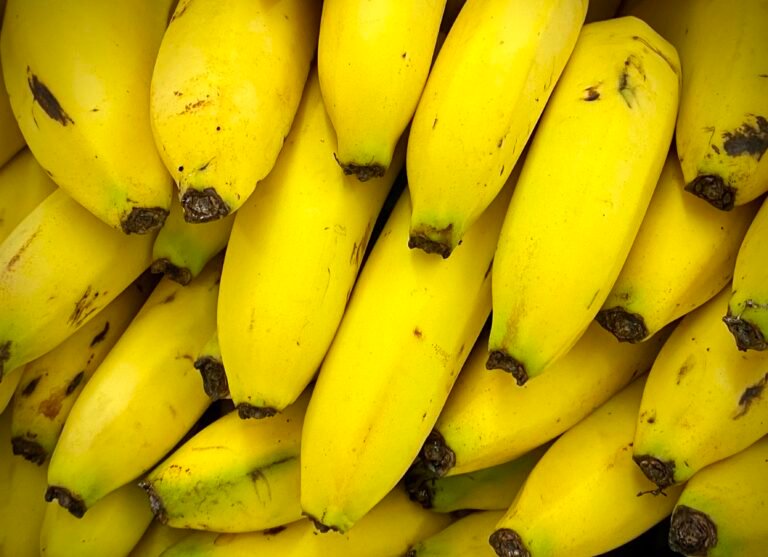 Plátano, Una Fruta Nutritiva y Versátil con Increíbles Beneficios para la Salud