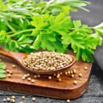 Cilantro: El Tesoro Nutricional y Medicinal que Debes Conocer