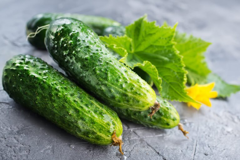 El Pepino: Nutrientes, Beneficios y Formas de Consumo para una Salud Óptima