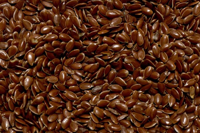 La Linaza: Un Superalimento para Tu Salud