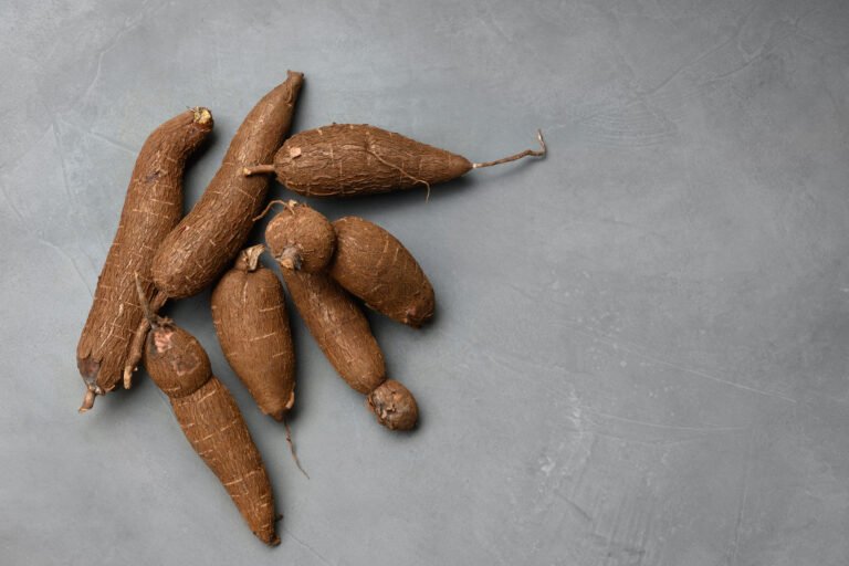 Yuca: La Raíz Nutritiva que Transformará tu Dieta