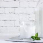 Probioticos: Cómo Curan Nuestro Sistema Digestivo y Dónde Encontrarlos