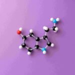 Serotonina: La Hormona de la Felicidad, El Amor y El Sueño