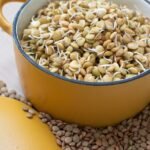 antinutrientes de los alimentos