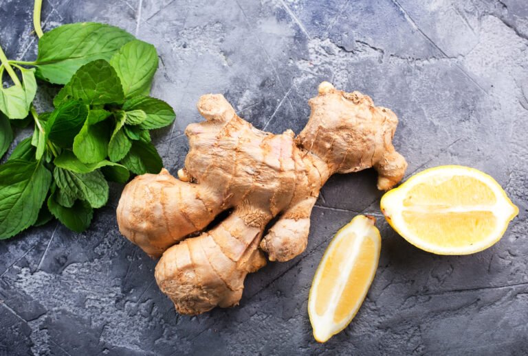 Jengibre: El Superalimento Milenario que Revoluciona la Salud Moderna