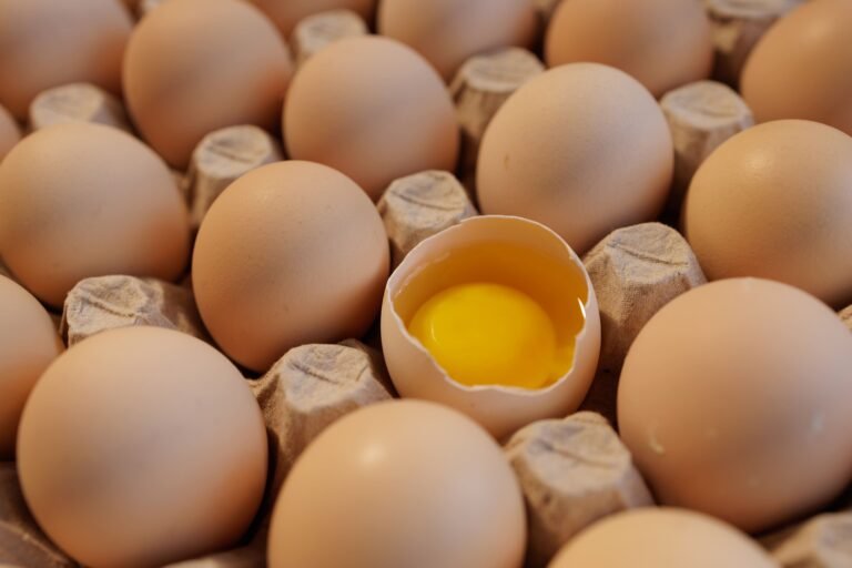 ¿Es Saludable Comer Huevo Todos los Días? Todo lo que Necesitas Saber