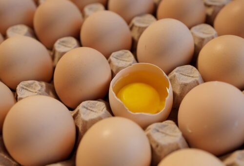 ¿Es saludable comer huevo todos los días? Todo lo que necesitas saber