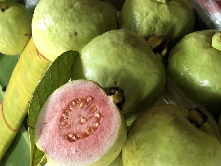 Guayaba, Remedios Naturales para la Salud Digestiva, la Piel y Más